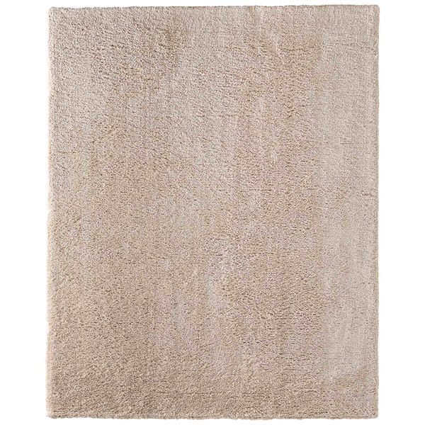 Tapis Tula 8A98F Feizy, Beige